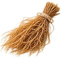 Raiz de vetiver